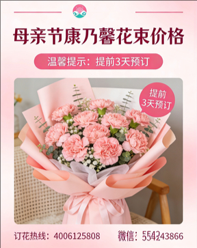 鞍山海城市花店母亲节康乃馨花束