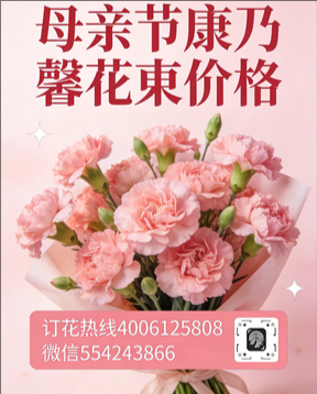 鞍山海城市花店母亲节康乃馨花束